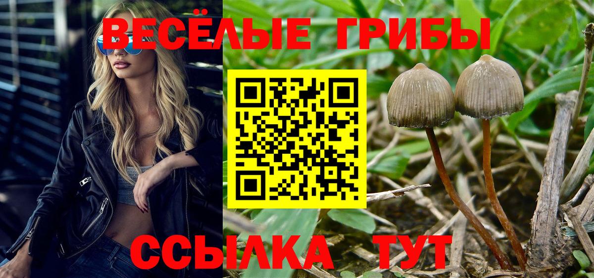 Галлюциногенные грибы ЛСД Южно-Сахалинск
