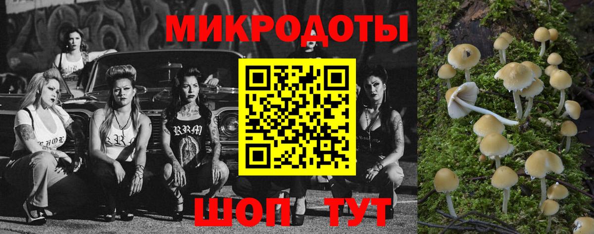 как найти закладки  Псилоцибиновые грибы прущие грибы  Вход с VPN  Южно-Сахалинск 